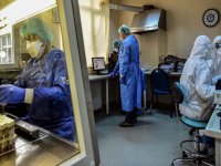 Virüsten 217 kişi hayatını kaybetti