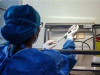 Virüsten 203 kişi hayatını kaybetti