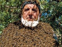 50 bin arı konuyor, maskesiz çalışıyor