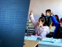 AK Partili Aydın: Kürtçe’yi tercih edin