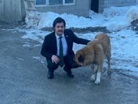 Kasımoğlu, şiddet gören iki köpeği sahiplendi