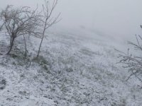 Hakkari'deki köylülerin kar şaşkınlığı