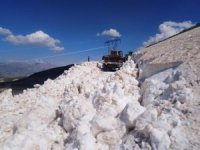 Hakkari'de Haziran ayında karla mücadele