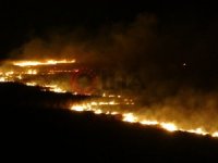 Yüksekova'nın kuş cenneti alev alev yanıyor