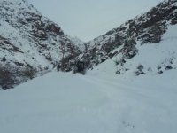Hakkari'de 59 köy, 181 mezra yolu kapandı