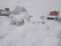 Hakkari'de 100 köy ve 194 mezra yolu kapandı