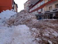 Hakkari'de kar dağların şehir dışına çıkartılıyor