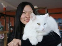 Japonların Van kedisi sevinci
