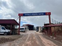 Üzümlü Sınır Kapısı'nda şap önlemi alındı