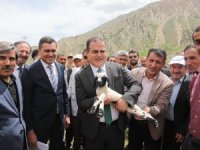 Hakkari'de 4 bin küçükbaş hayvan dağıtıldı