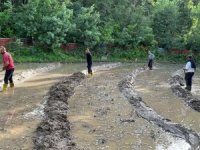 3 asırdır bölgede çeltik ekimi yapılıyor