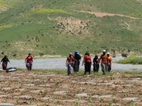 Şırnak arazileri tarımla canlanıyor