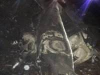 Düşen uçaktaki 4 çocuk sağ bulundu