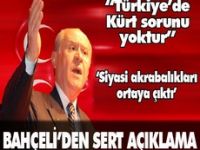 Türkiye'de Kürt sorunu yoktur