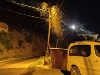 Hakkari Geçimli'de sivrisinek istilasına müdahale