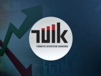 TÜİK işsizlik rakamlarını açıkladı