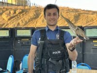 Polisten balaban kuşuna şefkat eli
