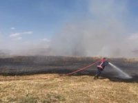 Nehir sazlığındaki yangına müdahale edildi