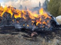 Yüksekova'daki Yangında 20 bin bağ ot yandı