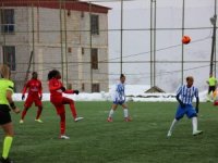 Hakkarigücü Spor- 4 Adana İdman Yurdu-0