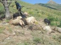 Hakkari'de 5 çobanın öldürülmesi olayı