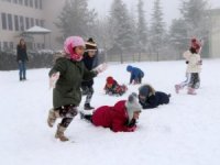 Hakkari'de taşımalı eğitime kar tatili