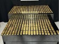 Hakkari'de 221 kilo külçe altın ele geçirildi