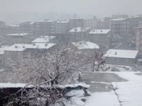 Hakkari'de Mart ayında lapa lapa kar yağışı