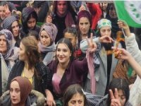 Şemdinli'de renkli Newroz kutlaması
