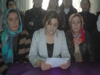 Hakkari DÖKH "Kadın şiddetini kınadı"