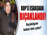 BDP Belediye Eşbaşkanı'na bıçaklı saldırı