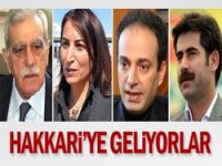 DTK, DBP heyeti yarın Hakkari'ye geliyor