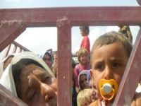Çukurca'dan Şengalli mültecilere yardım