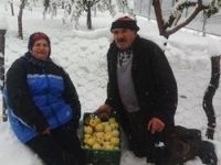 Kar yağışı meyve ağaçlarına zarar verdi