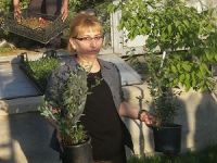 Yüksekova’da yeşillendirme çalışmaları