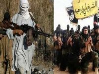 IŞİD örgütü en az 10 Taliban üyesinin başını kesti