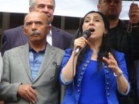 Yüksekdağ Hakkari'de Erdoğan'a seslendi