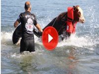 Polisten denizde hayvan kurtarma operasyonu