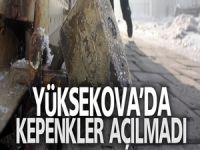 Yüksekova'da Kepenkler Açılmadı
