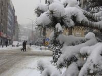 Hakkari'de karla mücadele çalışmaları sürüyor