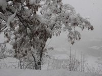 Hakkari il genelinde karla mücadele sürüyor