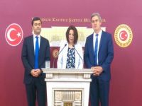 HDP'li vekiller mecliste basın açıklaması yaptı
