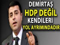 Demirtaş: HDP değil kendileri yol ayrımındadır