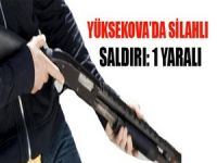 Yüksekova'da silahlı saldırı: 1 yaralı