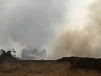 Koalisyon uçakları DAEŞ'e bomba yağdırdı