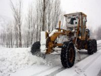 Yüksekova'da kar esareti