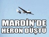 Mardin'de Heron düştü