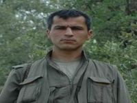 7 PKK'linin kimlikleri belirlendi