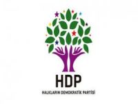 HDP'li Yıldırım ve Ayhan'ın milletvekillikleri düşürüldü