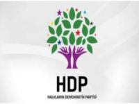 HDP Newroz tertip komitesi